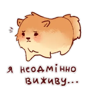 🥺 6c2e4288 Я неодмінно виживу... 狗, 可爱, 悲伤, 乌克兰 telegram sticker