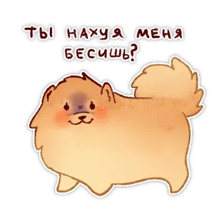 😤 ba85f7d1 ТЫ НАХУЯ МЕНЯ БЕСИШЬ? 狗, 可爱, 俄语, 梗, 生气 telegram sticker
