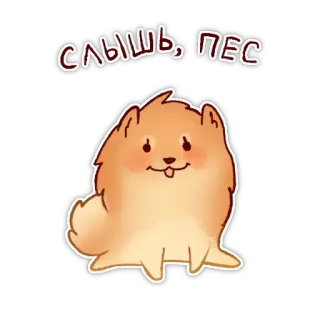 🙃 f2d28372 СЛЫШЬ, ПЕС 狗, 侮辱, 动物, 卡通, 可爱, 俄语 telegram sticker