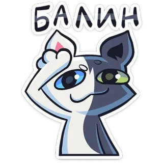 🫡 303cefae Блин Katze, Cartoon, Ausdruck, genervt, frustriert, Sticker, russisch telegram sticker