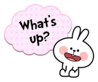😀 b8f65dd1 What's up? fofo, coelho, coelhinho, rosa, pergunta telegram sticker