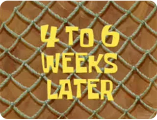 😔 66d3501f 4 TO 6 WEEKS LATER Spongebob, Menunggu, Minggu, Waktu, Penundaan whatsapp sticker
