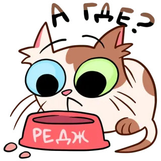 😞 acf7fe88 РЕДЖ kucing, hewan peliharaan, mangkuk makanan, imut, hewan, stiker telegram sticker