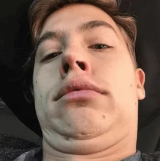 🍁 082977e4 telegram sticker