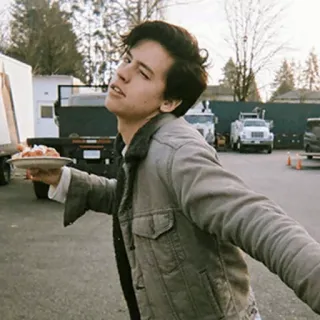 🍁 0df691ba persona, hombre, chaqueta, celebridad, plato telegram sticker