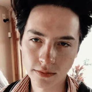 🍁 46650ff6 telegram sticker