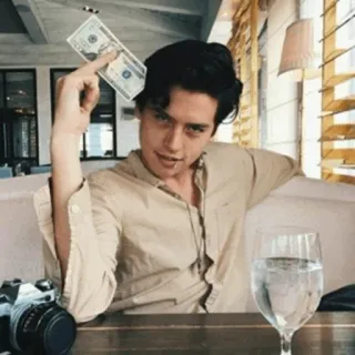 🍁 4c0e67c7 hombre, dinero, mesa, efectivo, dólar, fiesta telegram sticker