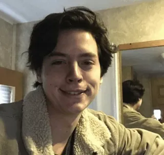 🍁 5f276db5 hombre, retrato, sonrisa, primer plano telegram sticker