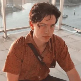 🍁 a9441dfb Cole Sprouse actor, celebridad, retrato, ídolo adolescente telegram sticker