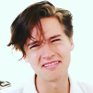 🍁 dc6598b2 telegram sticker