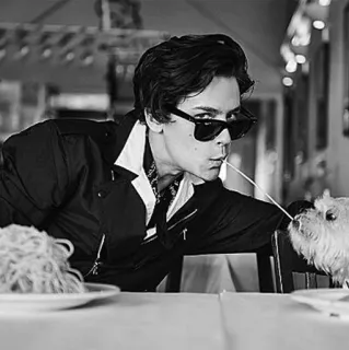 🍁 fee3f866 persona, espagueti, comiendo, perro, gafas de sol, blanco y negro telegram sticker