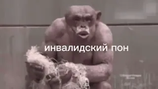 ♿️ 486d657d инвалидский ПОН Affe, Affe, Tier, behindert telegram sticker