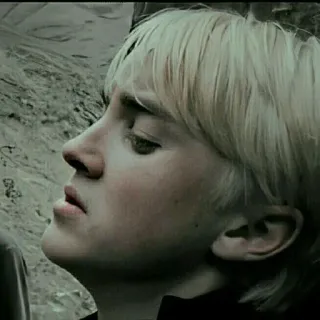 🐍 2ea8f549 Draco Malfoy Harry Potter drago malefoy, harry potter, serpentard, sorcier whatsapp sticker