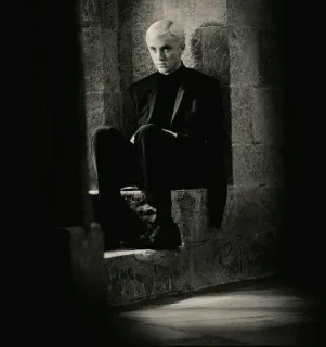 🐍 35fd7356 Draco Malfoy Harry Potter slytherin, sorcier, magie, tom felton, poudlard, drago whatsapp sticker