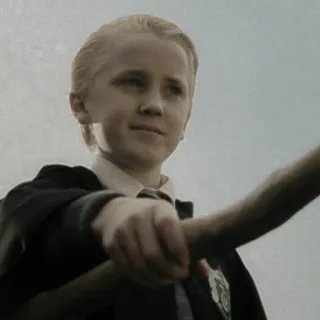 🐍 8f5fb20e Draco Malfoy Harry Potter sorcier, magie, école, Slytherin whatsapp sticker