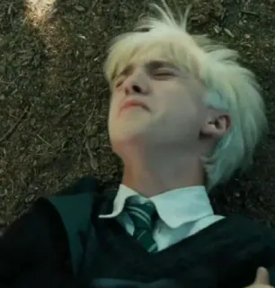 🐍 9e5cee9b Draco Malfoy Harry Potter harry potter, drago malefoy, serpentard, adolescent, blessé whatsapp sticker