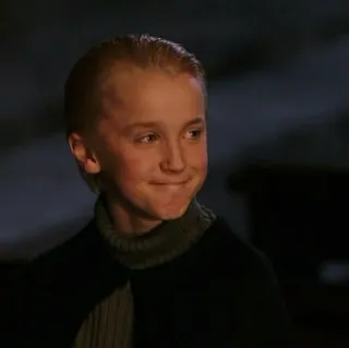 🐍 c215f88a Draco Malfoy Harry Potter draco, malefoy, harry potter, slytherin, sorcier, garçon whatsapp sticker