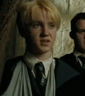 🐍 c50aa23d Draco Malfoy Harry Potter sorcier, magie, slytherin, école, étudiant whatsapp sticker