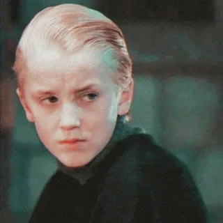 🐍 e2273766 Draco Malfoy Harry Potter Draco Malefoy, Serpentard, Harry Potter, sorcier, adolescent whatsapp sticker