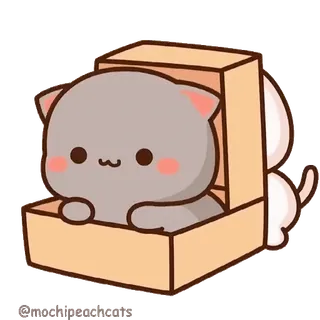 😼 2ed7bdbc gato, caja, lindo, gatito, mascota, animales whatsapp sticker