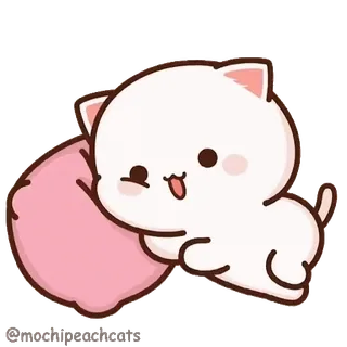 😚 ddbd5302 gato, lindo, kawaii, animal, almohada, gato melocotón whatsapp sticker