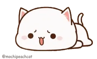 😦 e2431656 gato, lindo, kawaii, animal, dibujos animados, dormilón whatsapp sticker