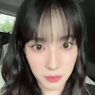 🕷️ 90a544ef telegram sticker