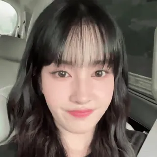 🕷️ a64d6fca telegram sticker