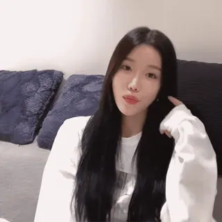 🐦 f1638b26 telegram sticker