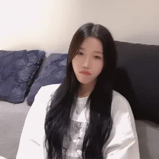 🐦 f84f0d4a telegram sticker