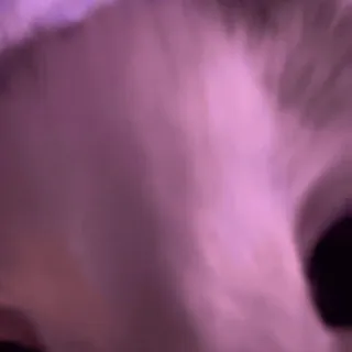 🫣 a590999d telegram sticker