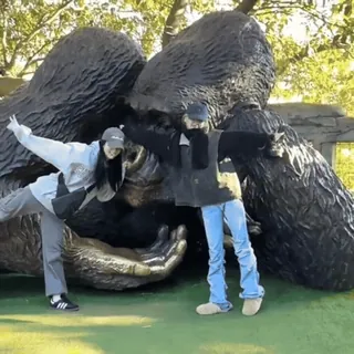 🍵 562b6bbb telegram sticker