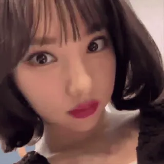 🍔 23b0b442 telegram sticker