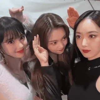 🍔 329e0d34 mujeres, amigos, grupo, selfie, asiático telegram sticker