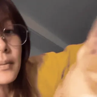 🌼 93780629 telegram sticker