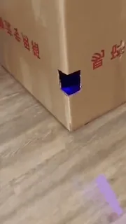 🌟 eaa7d666 telegram sticker