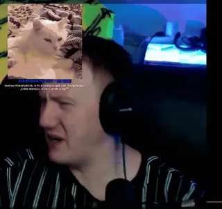 🤬 7d801f8f кто смеялся пожалуйста, а кто посмотрел без улыбочки у меня вавка в ней я умер а ты.. whatsapp sticker