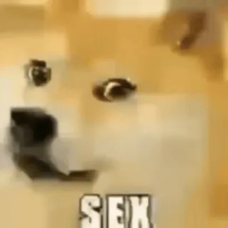 Cheems bhamiya ka swag @r_squared_rishabh — @stckrRobot telegram stickers