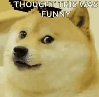 👍 a9743780 THOUGHT THIS WAS FUNNY doge, meme, grappig, hond, zonnebril telegram sticker