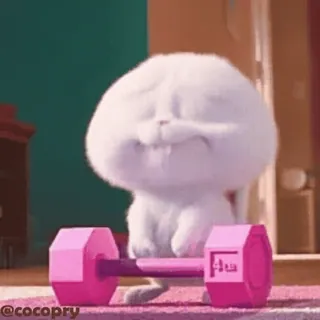 😌 08a9d9ee Snowball The Secret Life of Pets kelinci, kelinci, angkat besi, latihan, kebugaran, dumbbell, gym whatsapp sticker