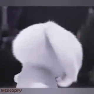 😑 bd38de35 @cocopry binatang, kelinci, imut, putih, hewan peliharaan whatsapp sticker