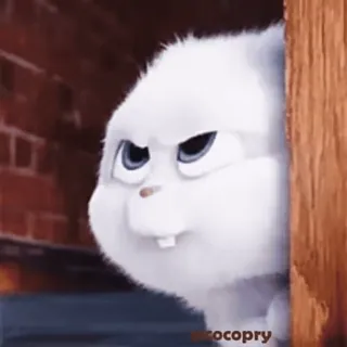 😈 ea960443 cocopry kelinci, bunny, marah, meme, hewan whatsapp sticker