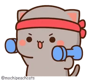 💪 f35b4019 gatto, manubrio, esercizio, allenamento, fitness, cartone animato telegram sticker
