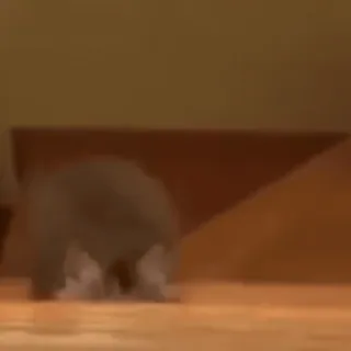 🐾 74ac9549 telegram sticker