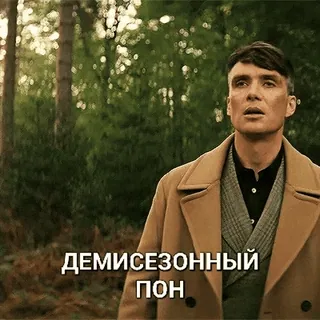 🍂 01243ce4 ДЕМИСЕЗОННЫЙ ПОН homem, casaco, floresta, russo, texto telegram sticker