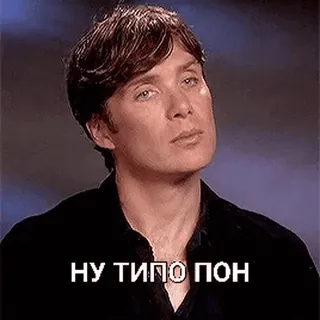 😒 47b476b7 НУ ТИПО ПОН Meme, Expressão, Russo, Reação telegram sticker