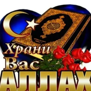 ☪️ 594937c7 Храни Вас АЛЛАХ ศาสนาอิสลาม, คัมภีร์กุรอาน, อัลลอฮ์, มุสลิม, ศาสนา, หัวใจ, พระจันทร์และดาว telegram sticker