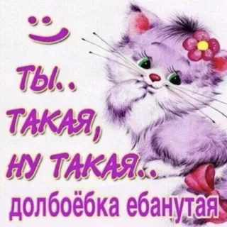 😸 7615e959 ты такая ну такая долбоёбка ебанутая แมว, หยาบคาย, รัสเซีย, สติกเกอร์ telegram sticker