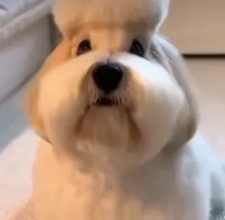 Больше стиков тут: @stikery4 whatsapp stickers