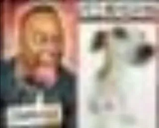 😝 af186ff7 telegram sticker